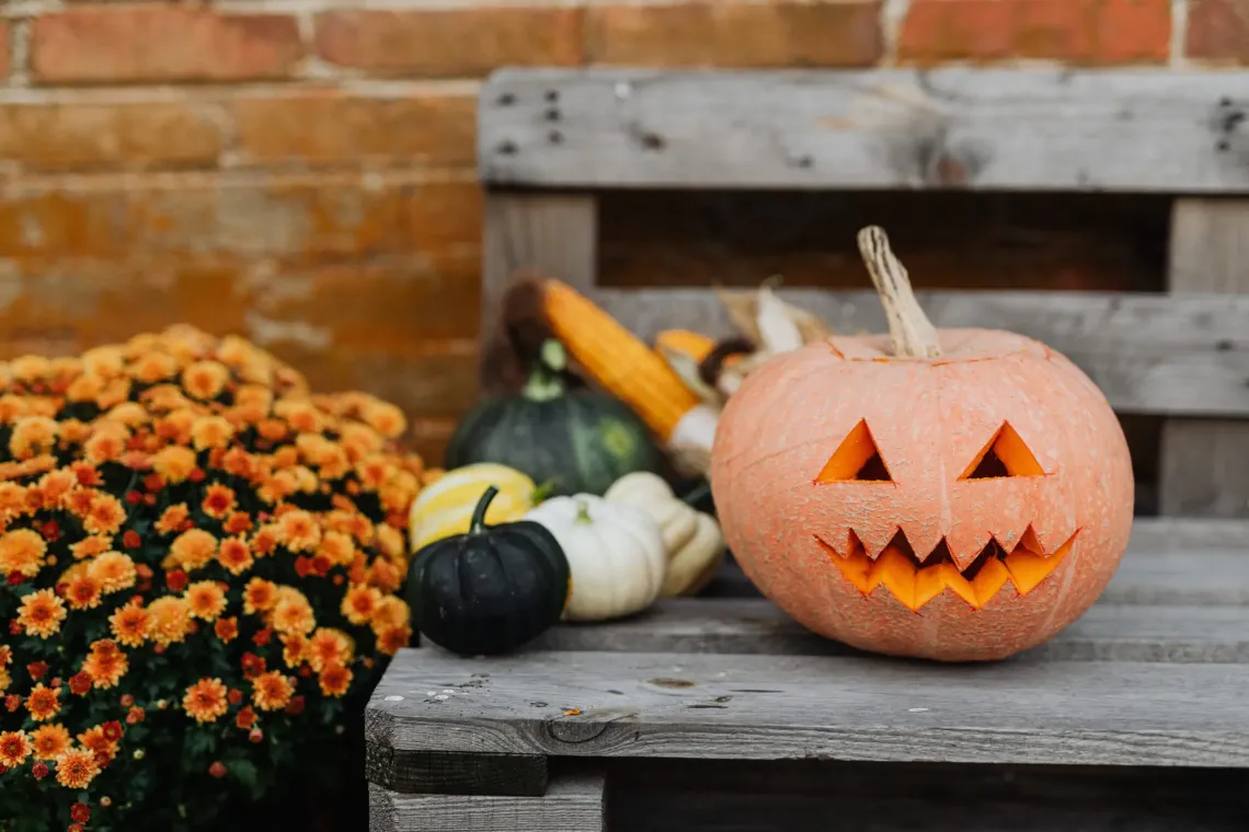 Wijkraad Rugge helpt mee met Halloween 2026